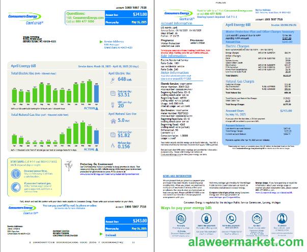 USA Consumers Energy utility bill template in Word and PDF formats, 2 pages, vesion 2